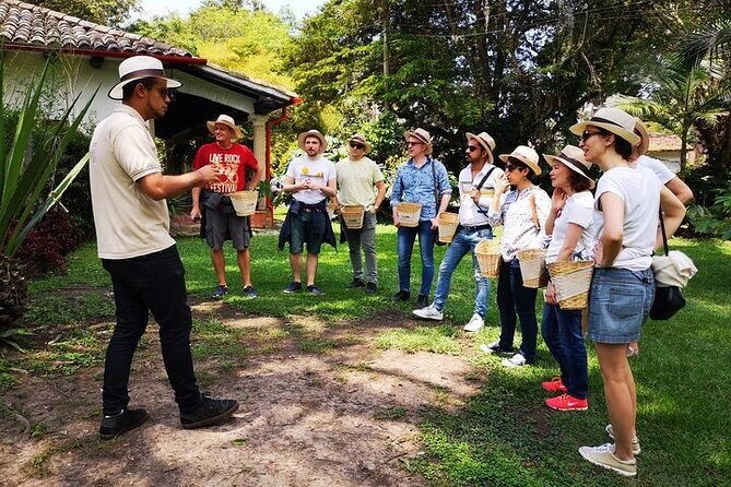 Hands-On Tour to Coffee Plantation from Bogota Option basic - Key Points