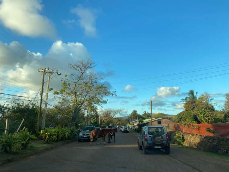 Hanga Roa: The only city of Rapa Nui - Exploring Hanga Roa: An In-Depth Review