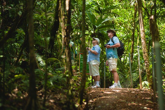 Hanging Bridges Adventure San Luis From San Jose - A Unique Perspective on Costa Rica’s Rainforests: Hanging Bridges Adventure San Luis From San Jose