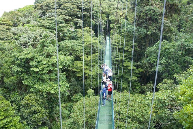 Hanging Bridges and Nature Preserve at Tenorio volcano - The Itinerary in Detail