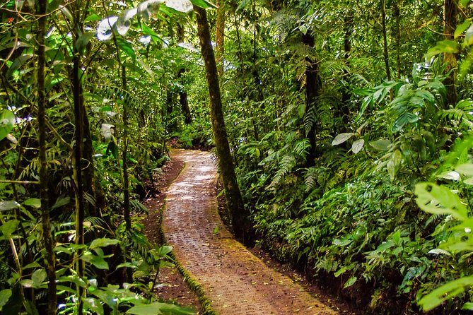 Hanging Bridges & Tour Guide From Monteverde - Starting Point and Logistics