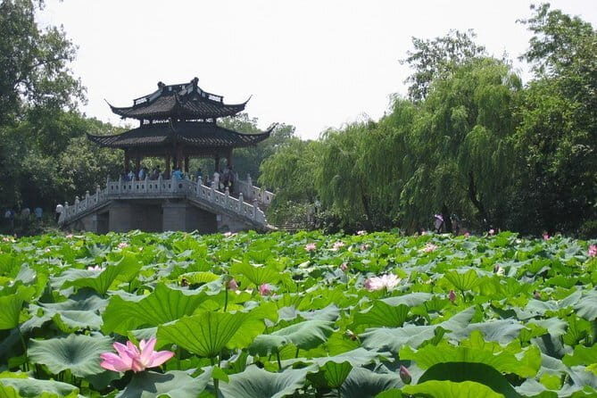 Hangzhou Heaven on Earth Full Day Private Tour from Shanghai - In-Depth Review of the Hangzhou Heaven on Earth Private Tour