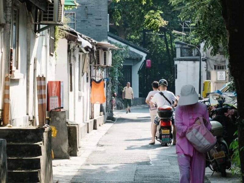 Hangzhou Insider Mini-Hike: TCM, Hill Views and Wet Market - Key Points