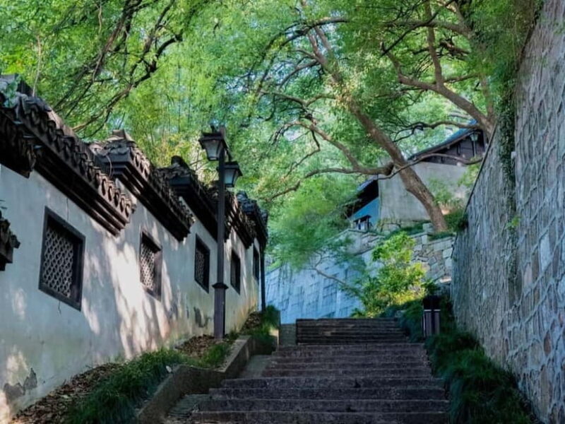 Hangzhou Insider Mini-Hike: TCM, Hill Views and Wet Market - Why This Tour Offers Great Value