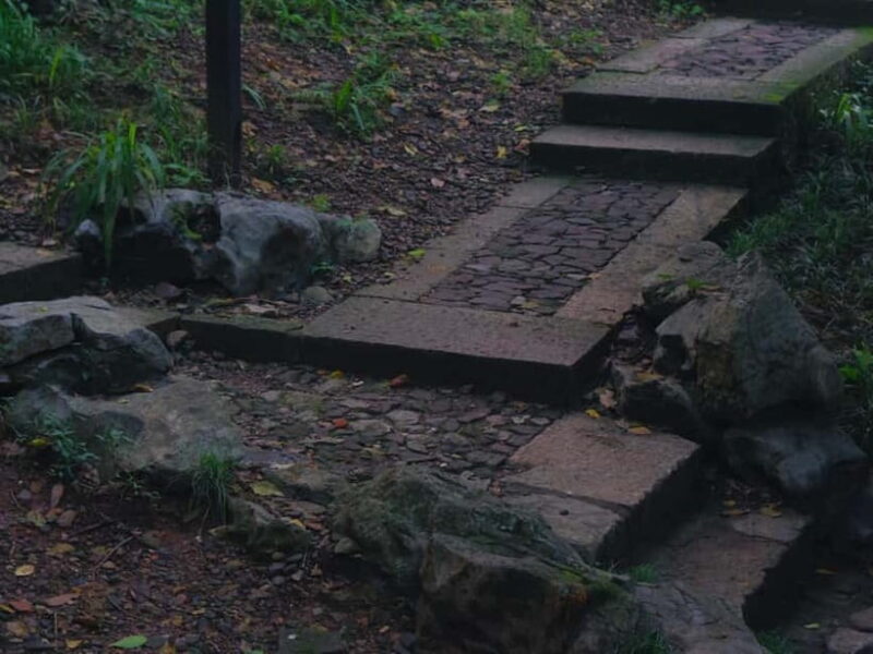 Hangzhou Insider Mini-Hike: TCM, Hill Views and Wet Market - Final Thoughts