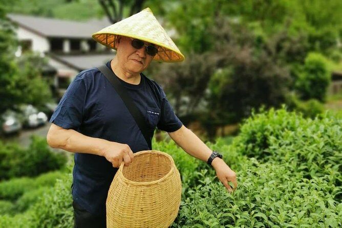 Hangzhou Longjing Tea Culture Immersive Experience Tour - Key Points