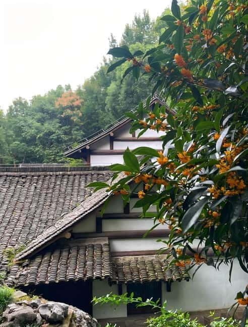 Hangzhou: Longjing Village Tea Picking and Tasting Tour - Key Points