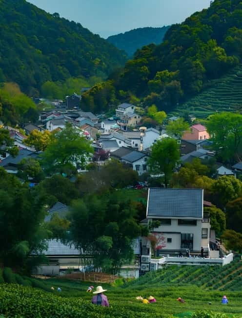 Hangzhou: Longjing Village Tea Picking and Tasting Tour - Exploring the Itinerary: What to Expect