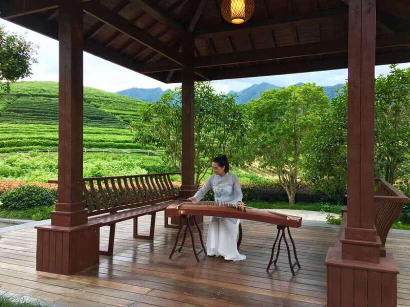 Hangzhou Private Day Trip by Bullet Train from Shanghai - A Balanced Look at the Cost and Value