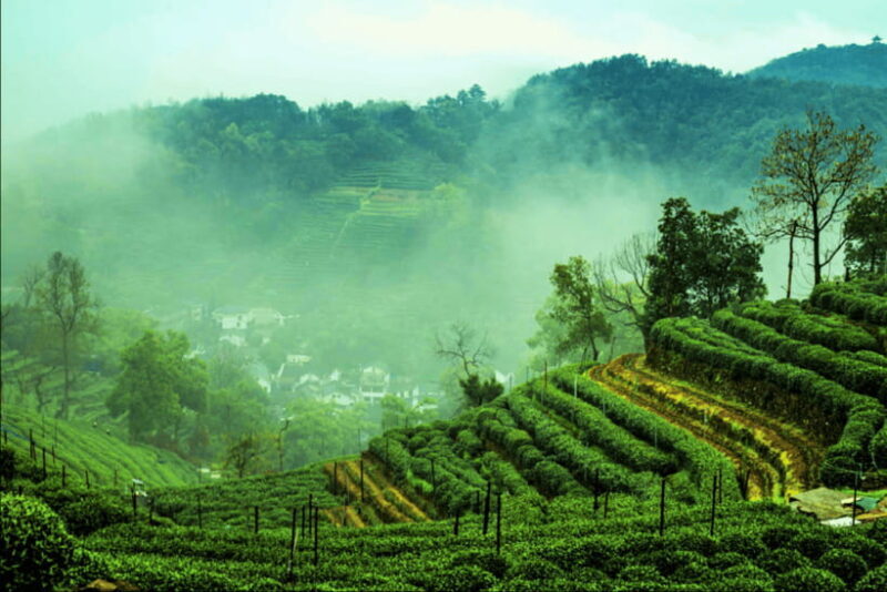 Hangzhou Private Day Trip by Bullet Train from Shanghai - Who Will Appreciate This Tour?