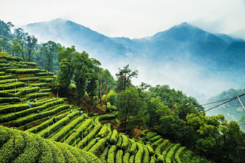 Hangzhou Private Day Trip by Bullet Train from Shanghai - Final Words