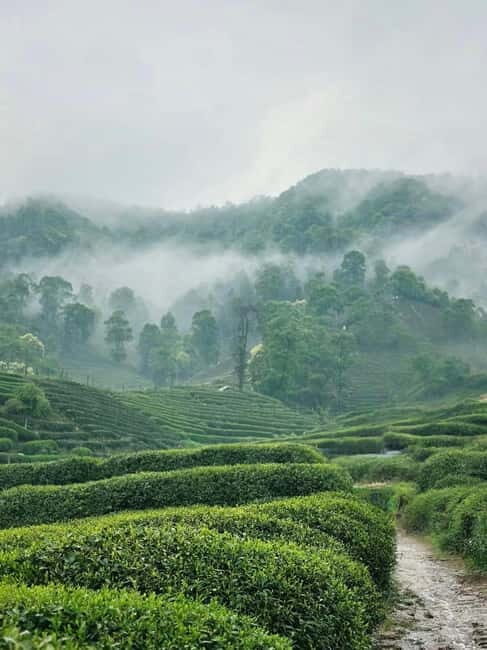 Hangzhou: West Lake Boat, Tea Village, & Temple Tour - Final Thoughts