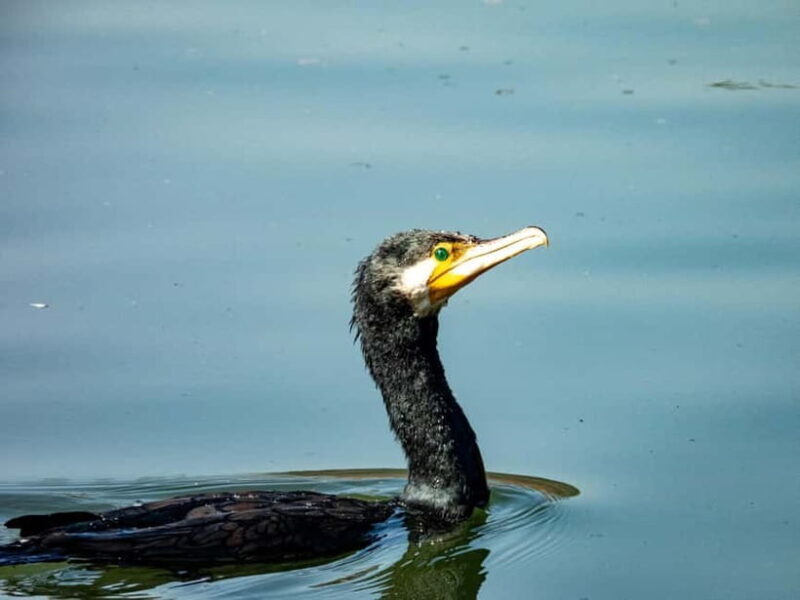 Hangzhou: West Lake Legends Walking Tour - A Detailed Look at the West Lake Legends Walking Tour