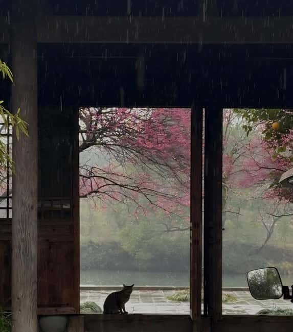 Hangzhous Urban Oasis: Poetic Xixi Wetland Half-Day Tour - What You Can Expect on the Tour