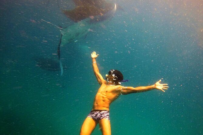 Hanifaru Bay Snorkeling with Whale sharks & Mana Rays - Who Is This Tour Best For?