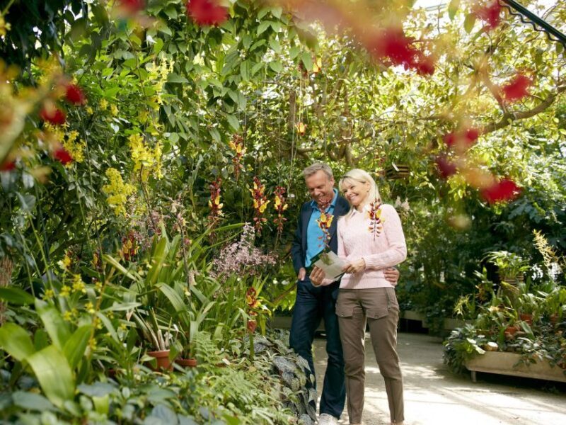 Hannover: Guided tour of the Berggarten - Who Will Enjoy This Tour?