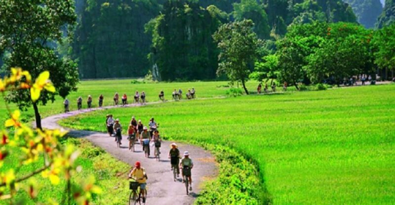Hanoi: 2-Day Tour to Ninh Binh & Halong Bay With Transfer - Who Should Consider This Tour?