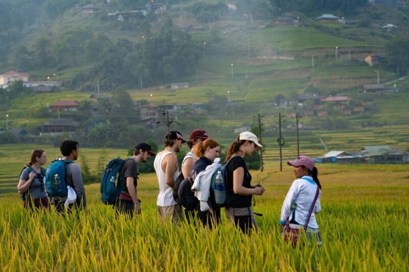 Hanoi: 2 Days Sapa Trekking Trip with Local Guide & Homestay - A Quick Overview