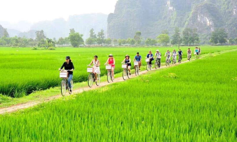Hanoi: 2D 1N_ Ha long 1day & Ninh Binh full day and bungalow - Hanoi: 2D 1N_ Ha Long 1 Day & Ninh Binh Full Day and Bungalow — A Balanced Adventure of Culture and Nature