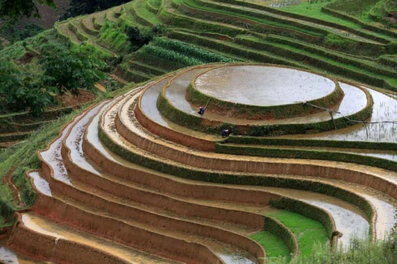 Hanoi: 3-Day Adventure Rice Terraces and Fansipan Summit - Key Points