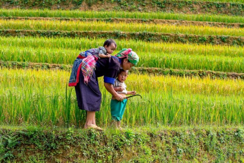 Hanoi: 3-Day Sapa Trek with Homestay - What’s Included and What’s Not