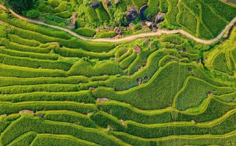 Hanoi: 4-day tour Immersion in the heart of the villages of northern Vietnam - Day 3: Ninh Binh’s Caves, Local Markets, and Cooking