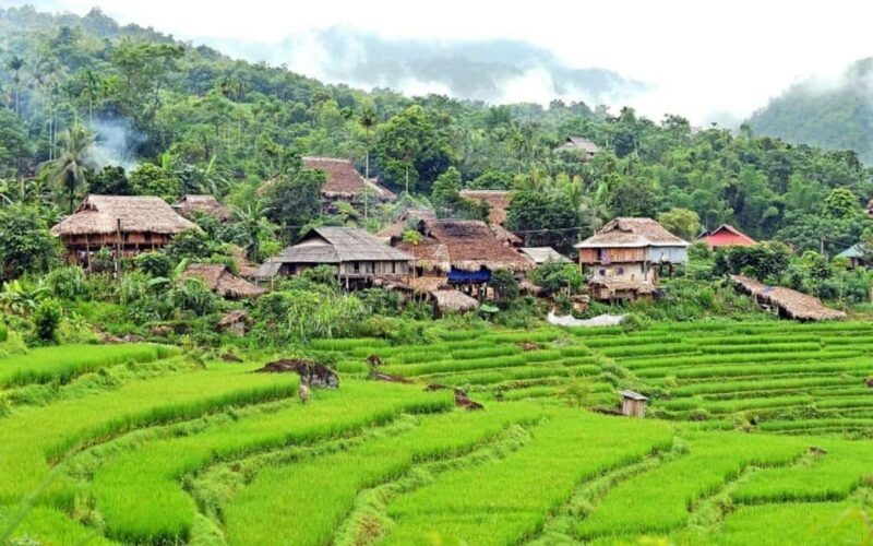 Hanoi: 4-day tour Immersion in the heart of the villages of northern Vietnam - Day 4: Early Morning Views, Salt Marshes, and Seafood
