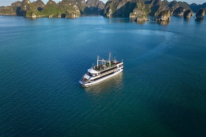Hanoi: 5-Star Sea Lion Luxury Day Cruise in Halong, Buffet Lunch - The Experience in Detail