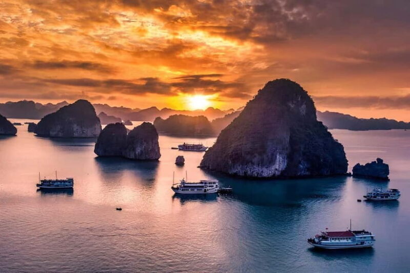 Hanoi: Best 5-Star Ha Long 1 Day Tour with pick up/drop off - An In-Depth Look at the Tour Experience