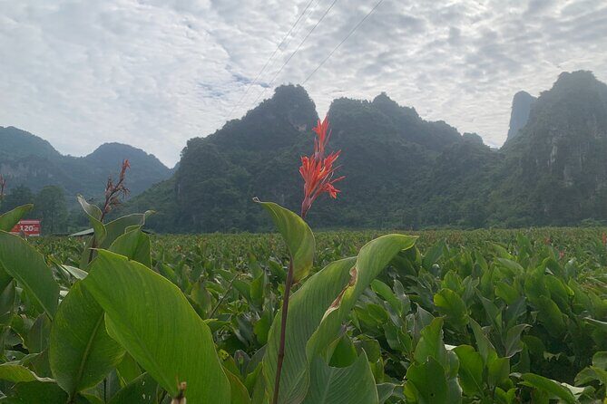 Hanoi - Cao Bang city - Ban Gioc Warterfall 2days/2nights ED7 - Who should consider this tour?