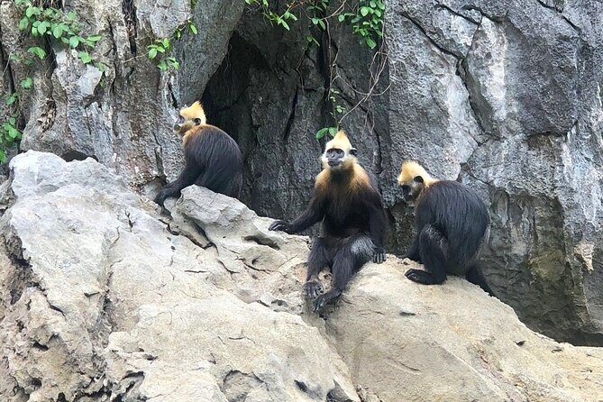 Hanoi: Cat Ba Island, Viet Hai Village, Lan Ba Bay 2 Days 1 Night - Final Thoughts