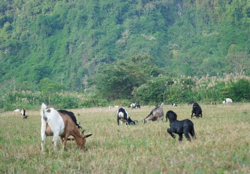 Hanoi/Catba: 2-Day Adventure Cat Ba National Park,Lan Ha Bay - What Makes This Tour Stand Out?