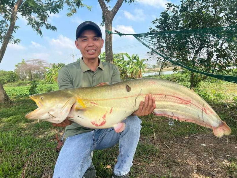 Hanoi: Catfish Luring Experience with Round-Trip Transfer - Practical Tips for Your Day