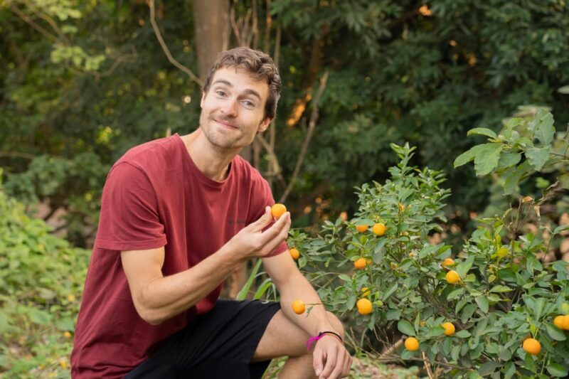 Hanoi Cooking Class in Haven of Tranquility - Thom culinary - Who Will Love This Experience?