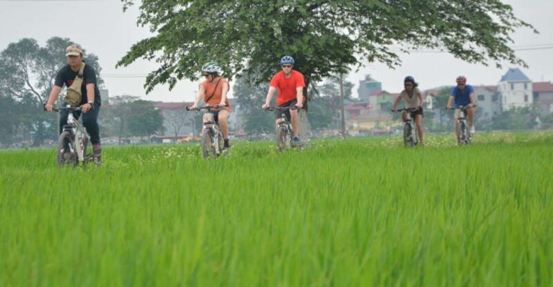 Hanoi Countryside Bike Tour: Red River Culture & Daily Life - In-Depth Review: What to Expect and Why It Matters