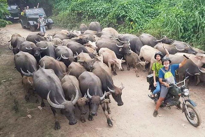 Hanoi Countryside Motorbike Tour: Red River Culture & Daily Life - Key Points