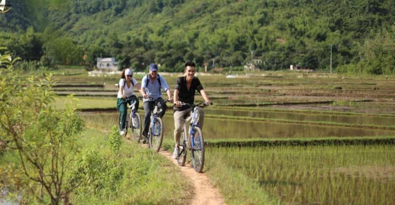 Hanoi: Cycling Tour of Hoa Lu, Trang An with Meals and Guide - Key Points