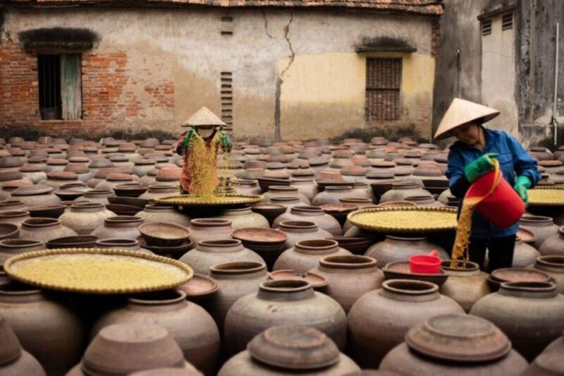 Hanoi: Day Trip to Bamboo Fish Trap & Soy Sauce Villages - Final Thoughts: Is This Tour Worth It?