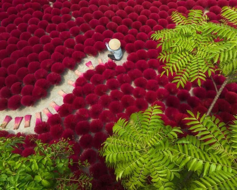 Hanoi: Doi Tam Drum Village or Incense Village & Hat Village - Who Will Love This Tour?