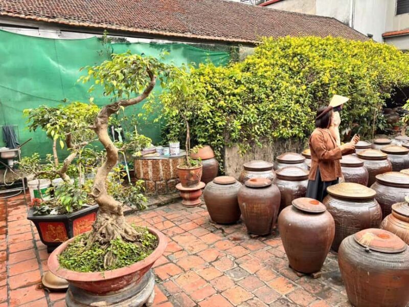 Hanoi: Duong Lam Ancient Village and Son Tay Ancient Citadel - Who Will Love This Tour?