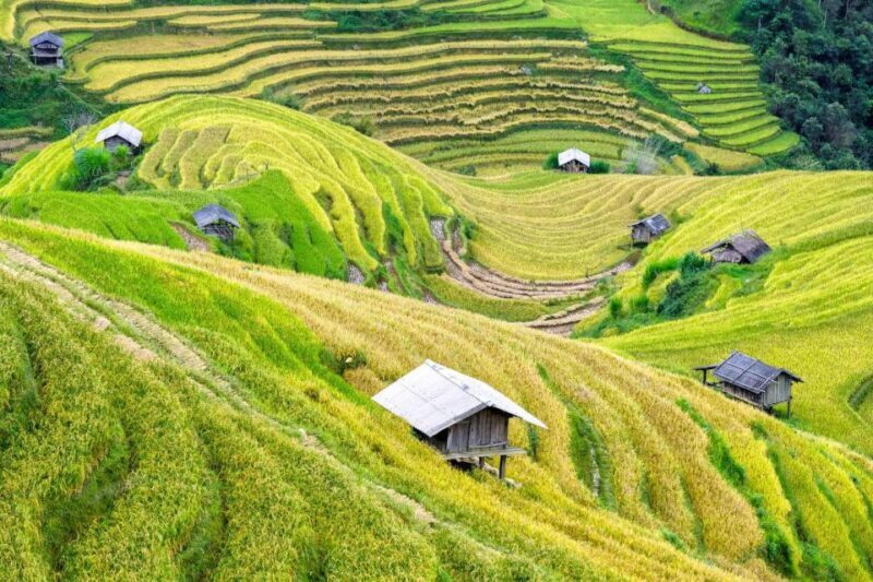 Hanoi Epic tour 6D5N Hanoi - Halong Bay - Ninh Binh - Sapa - The Value for Travelers