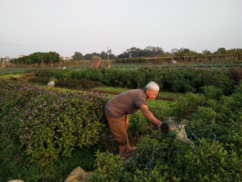 Hanoi Farm Tour and Cooking Class with Local Family - Who Will Love This Experience?