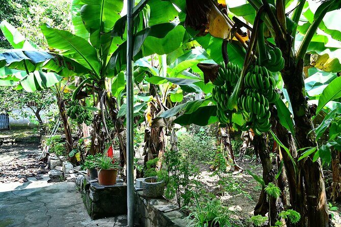 Hanoi Full Day A Private Tour With Mix of History and Activities - Who Should Book This Tour?