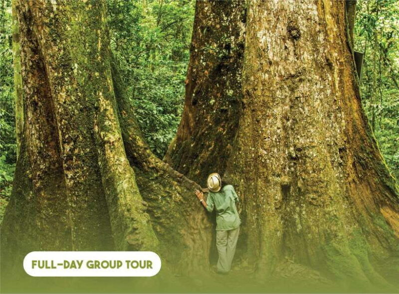 Hanoi: Full-day Cuc Phuong National Park Eco-adventure - Hanoi: Full-day Cuc Phuong National Park Eco-adventure