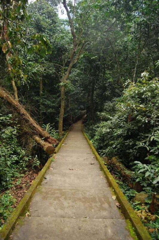 Hanoi: Full-day Cuc Phuong National Park Eco-adventure - Practical Details and Tips