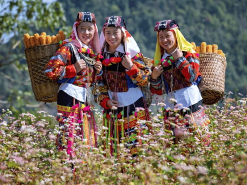 Hanoi: Ha Giang Loop Tour 3 Days 2 Nights with easy rider - Key Points