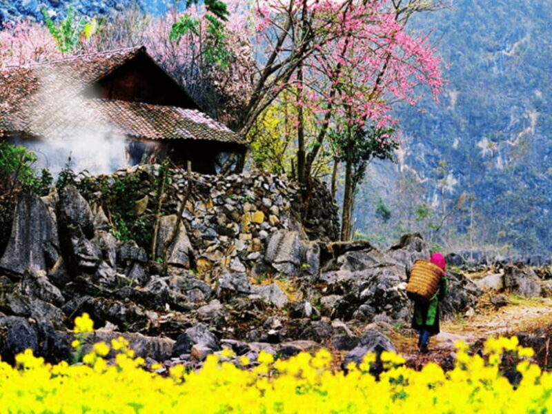 Hanoi: Ha Giang Loop Tour 3 Days 2 Nights with easy rider - What Makes This Tour Stand Out?
