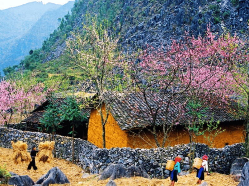 Hanoi: Ha Giang Loop Tour 3 Days 2 Nights with easy rider - Who Should Consider This Tour?