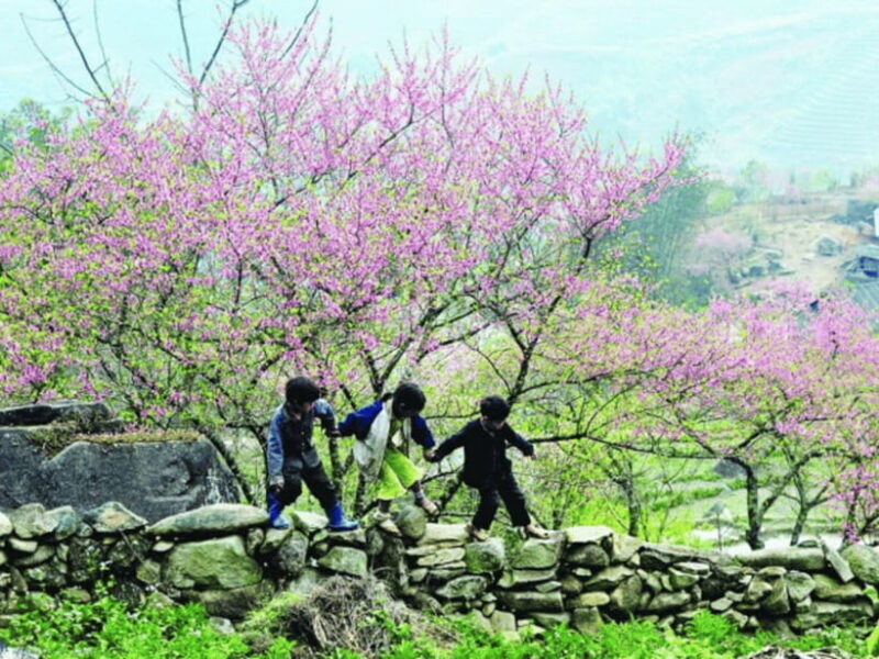 Hanoi: Ha Giang Loop Tour 3 Days 2 Nights with easy rider - Authentic Experiences and What Travelers Say