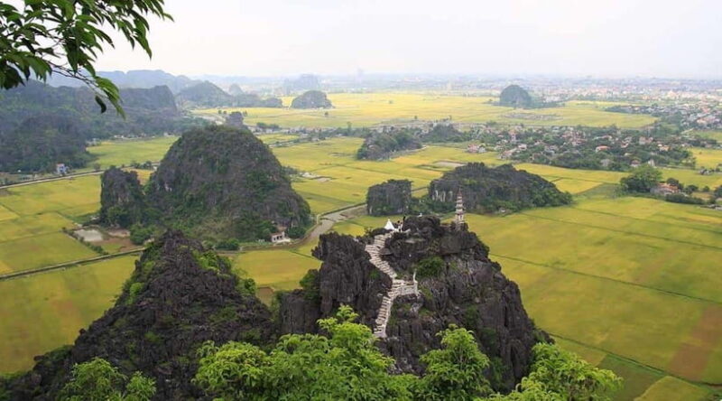 Hanoi: Hoa Lu, Tam Coc, Mua Cave 1-Day Ninh Binh Luxury Tour - An Honest Look at the Ninh Binh Day Trip Experience
